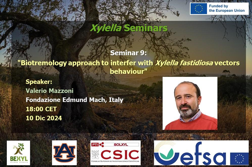 9th Xylella Seminar 2024 – Biotremology approach to interfer with Xylella fastidiosa vectors behaviour