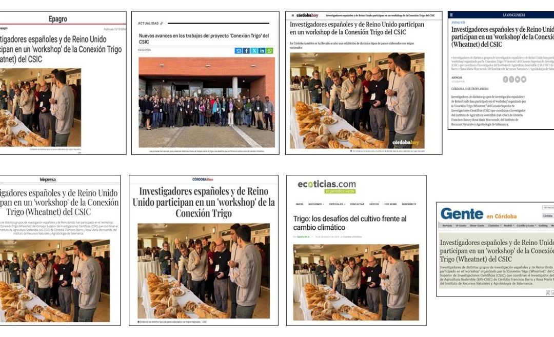 Seguimiento Noticia: Investigadores españoles y de Reino Unido participan en un workshop de la Conexión Trigo (Wheatnet) del CSIC