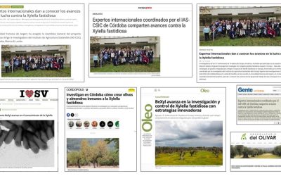 Seguimiento Noticia:  Expertos internacionales dan a conocer los avances en la lucha contra la Xylella fastidiosa
