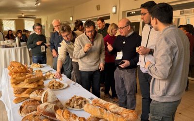 Investigadores españoles y de Reino Unido participan en un workshop de la Conexión Trigo (Wheatnet) del CSIC