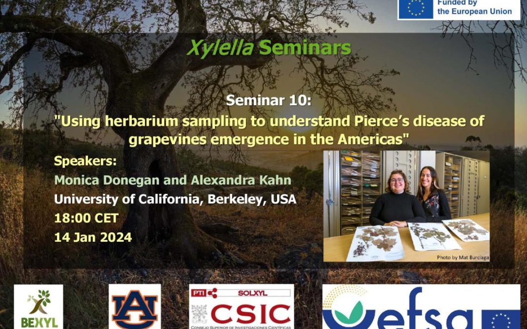 10th Xylella Seminar – Using herbarium sampling to understand Pierce’s disease of grapevines emergence in the Americas