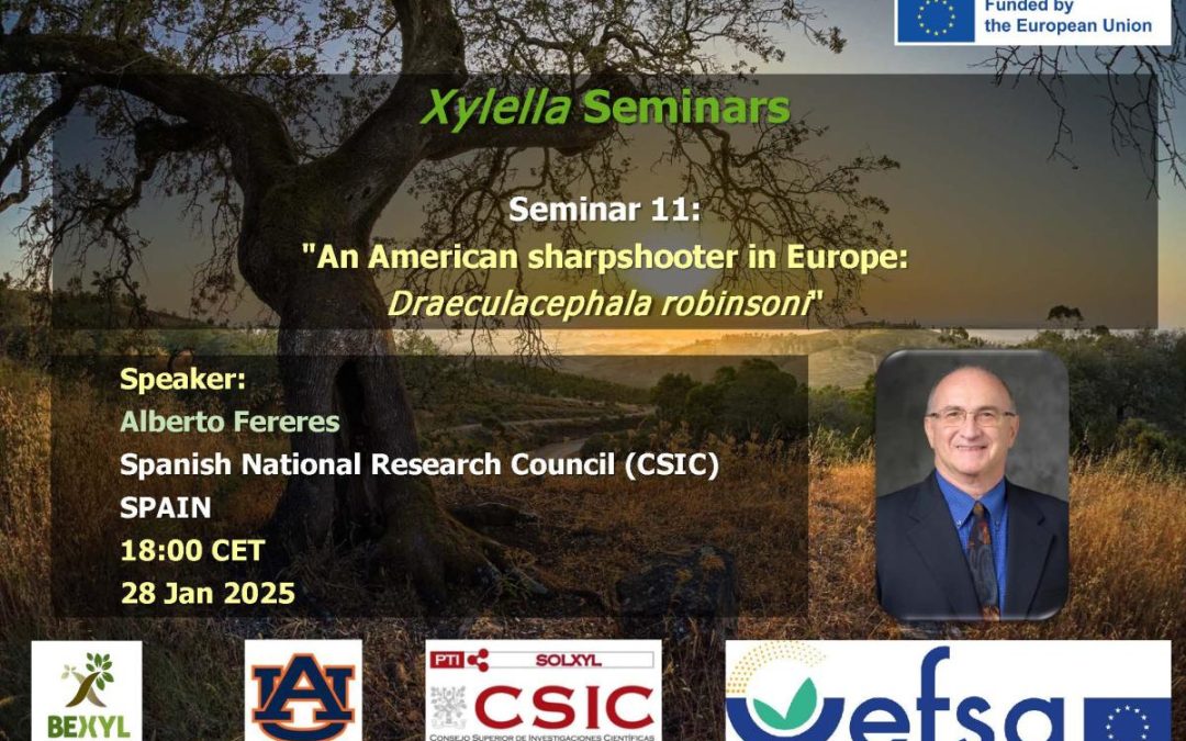 11th Xylella Seminar – An American sharpshooter in Europe: Draeculacephala robinsoni