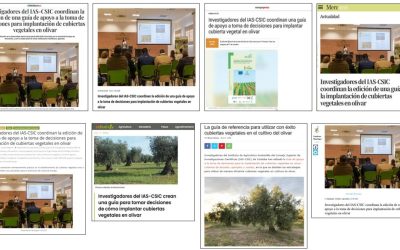 Seguimiento Noticia: Investigadores del IAS-CSIC coordinan la edición de una guía de apoyo a la toma de decisiones para implantación de cubiertas vegetales en olivar