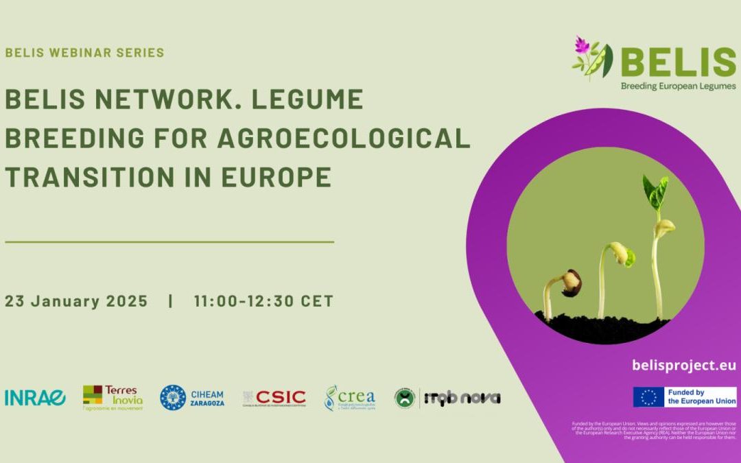 BELIS WEBINAR SERIES “BELIS NETWORK. LEGUME BREEDING FOR AGROECOLOGICAL TRANSITION IN EUROPE”