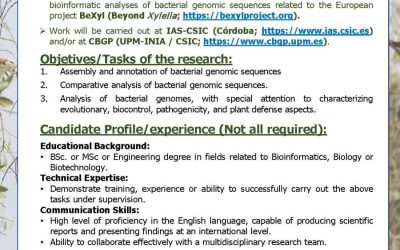 Work opportunity at BeXyl Project- Bioinformatic analyses of bacterial genomic sequences