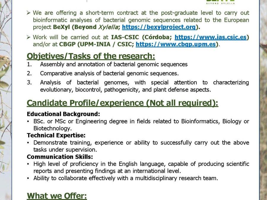 Work opportunity at BeXyl Project- Bioinformatic analyses of bacterial genomic sequences