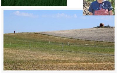 Riego deficitario. Ventajas de monitorizar el riego eficiente y el rendimiento agrícola – Entrevista a Victoria González Dugo
