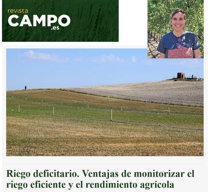 Riego deficitario. Ventajas de monitorizar el riego eficiente y el rendimiento agrícola – Entrevista a Victoria González Dugo