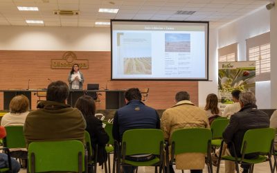 Investigadores del IAS-CSIC coordinan la edición de una guía de apoyo a la toma de decisiones para implantación de cubiertas vegetales en olivar