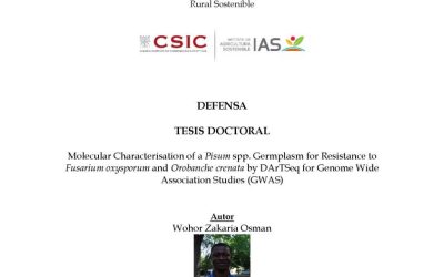 Defensa Tesis Doctoral – Wohor Zakaria Osman