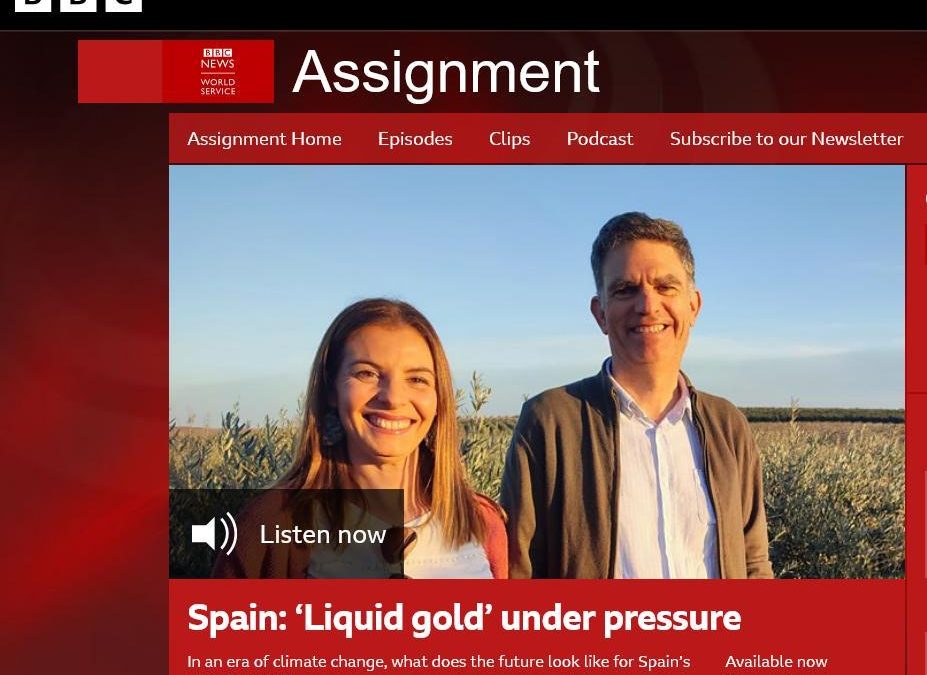 Podcast “Spain – ‘liquid gold’ under pressure”