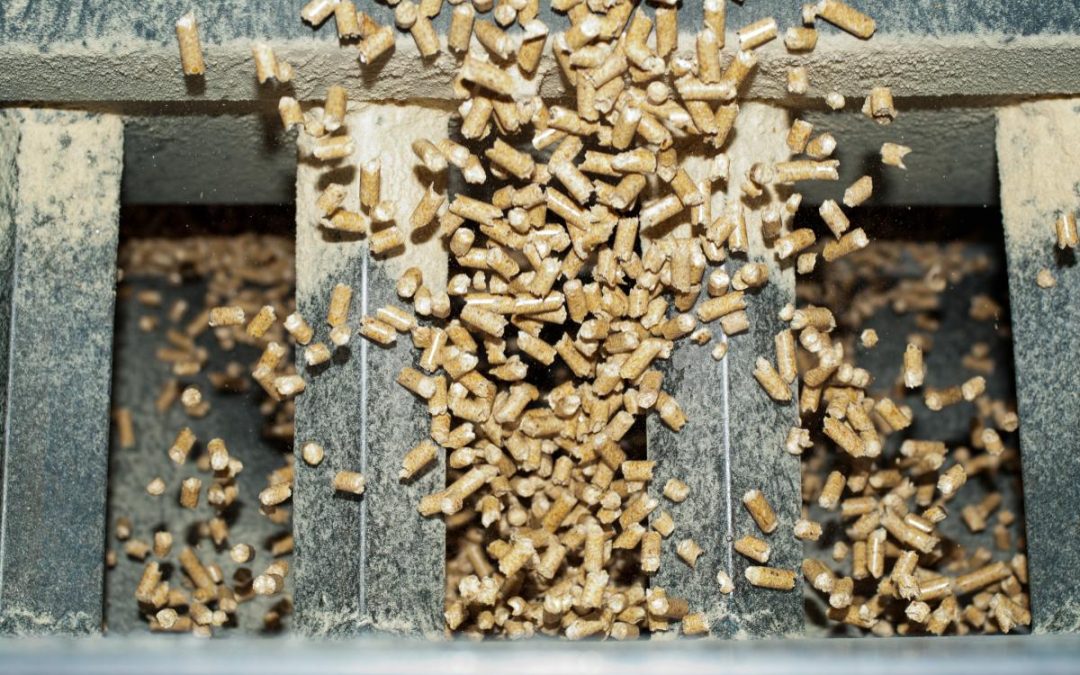 El proyecto europeo BBioNets lanza una campaña sobre la implantación de soluciones biotecnológicas en el sector agroforestal andaluz