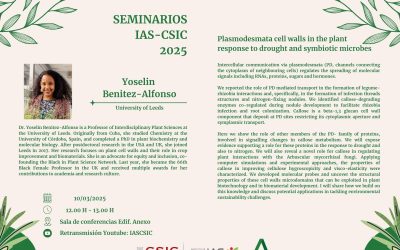 Ciclo de Seminarios IAS – Plasmodesmata cell walls in the plant response to drought and symbiotic microbes