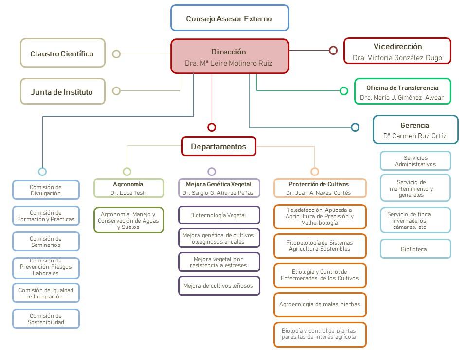 Organigrama IAS_4