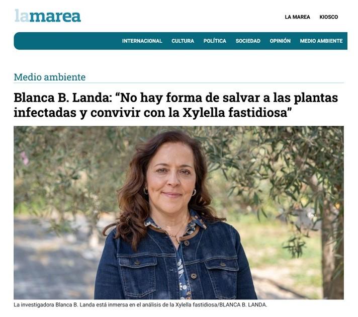 No hay forma de salvar a las plantas infectadas y convivir con la Xylella fastidiosa– Entrevista a Blanca Landa