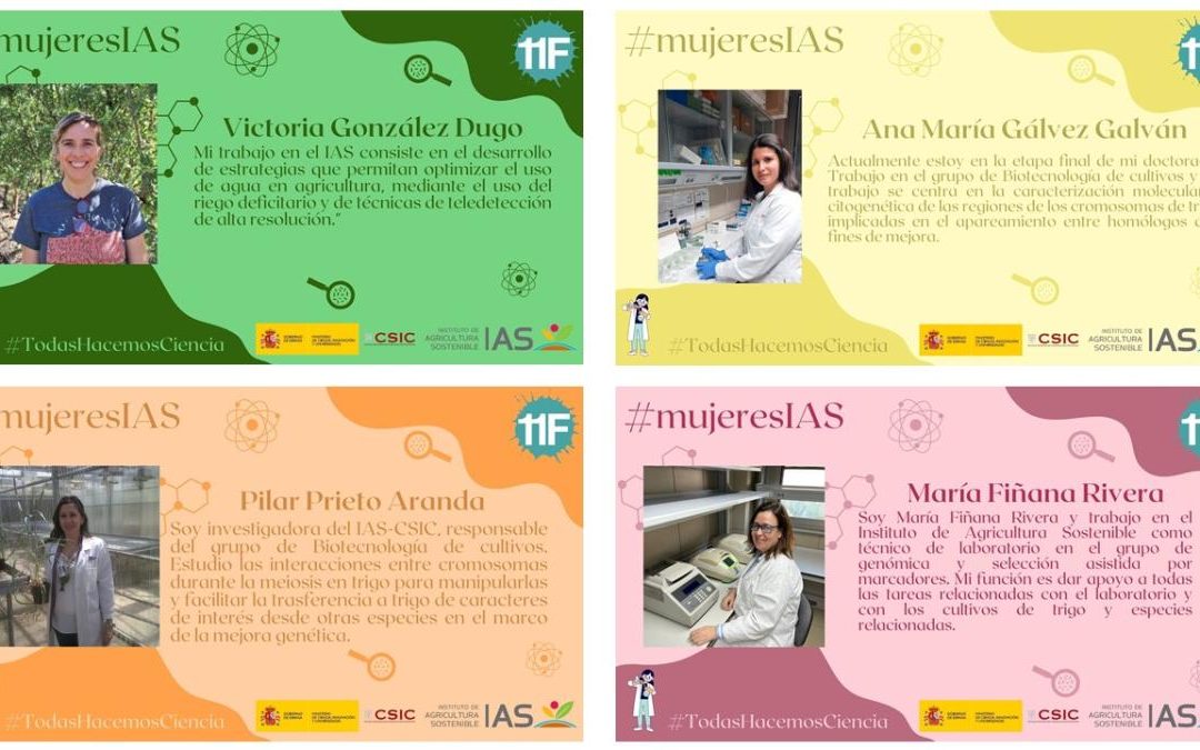 Mujeres IAS (II) – Día Internacional de la Mujer y la Niña en la Ciencia 2025