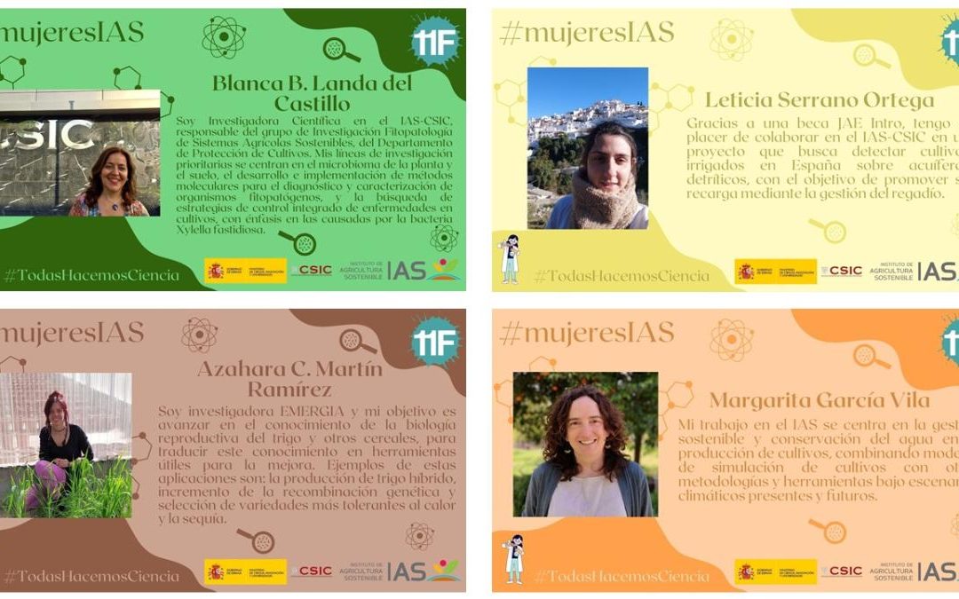 Mujeres IAS (III) – Día Internacional de la Mujer y la Niña en la Ciencia 2025