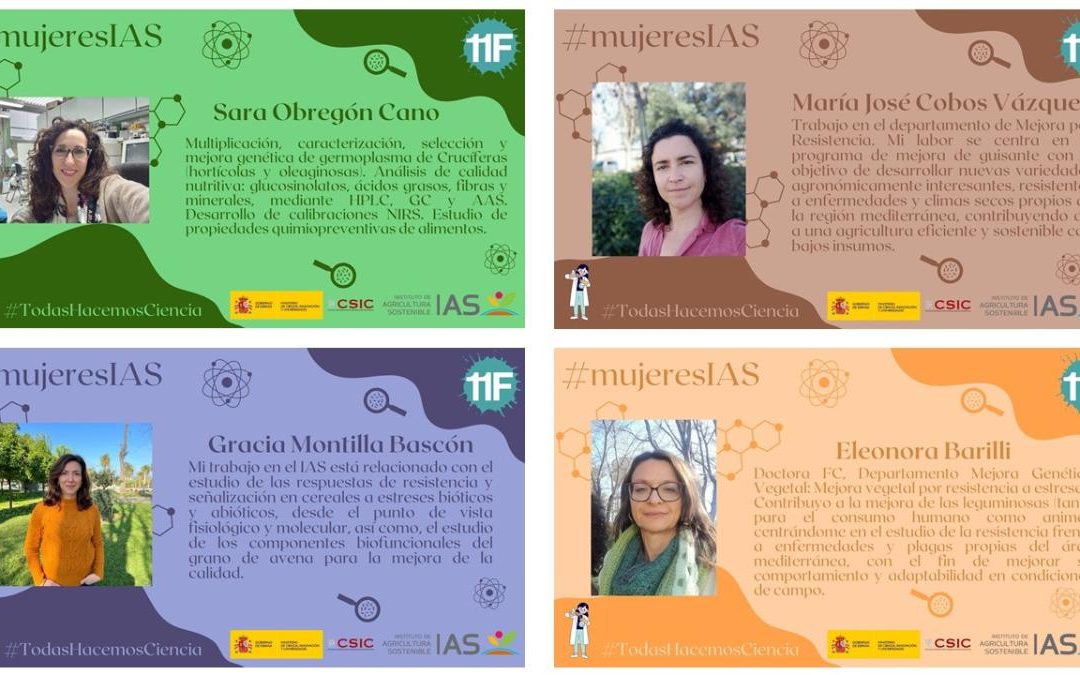 Mujeres IAS (IV) – Día Internacional de la Mujer y la Niña en la Ciencia 2025