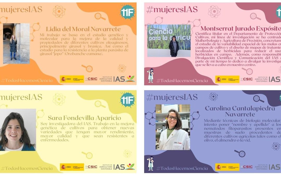 Mujeres IAS (V) – Día Internacional de la Mujer y la Niña en la Ciencia 2025
