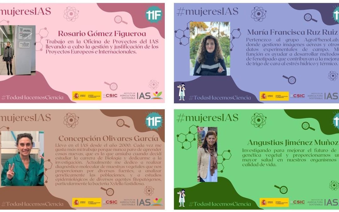 Mujeres IAS (VI) – Día Internacional de la Mujer y la Niña en la Ciencia 2025