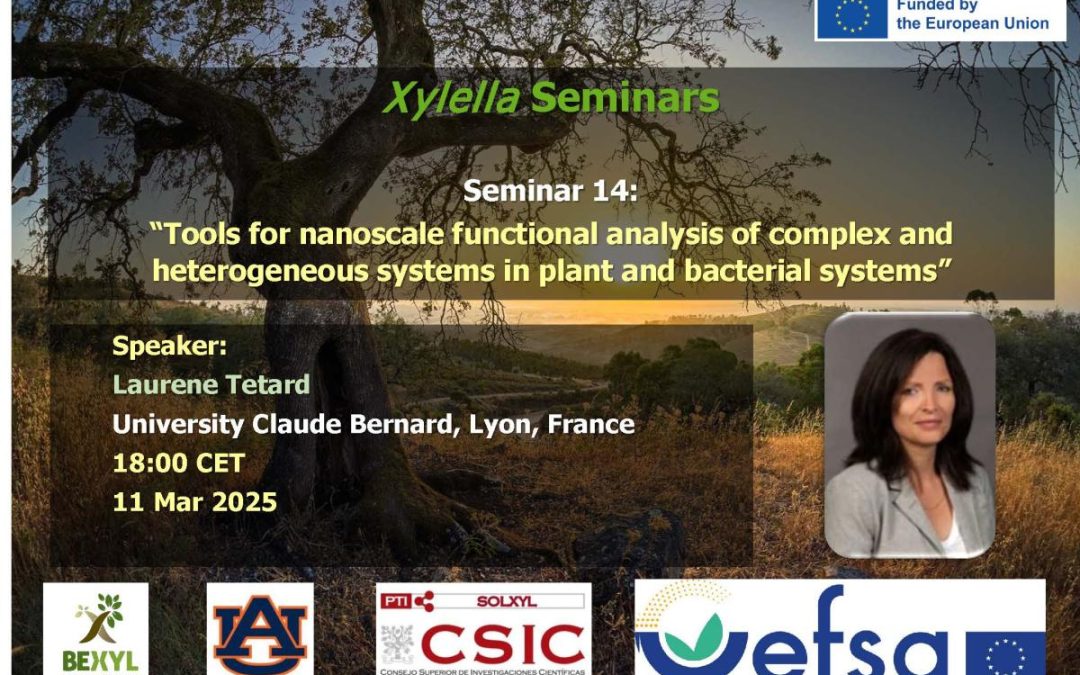 14th Xylella Seminar – Tools for nanoscale functional analysis of complex and heterogeneous systems in plant and bacterial systems