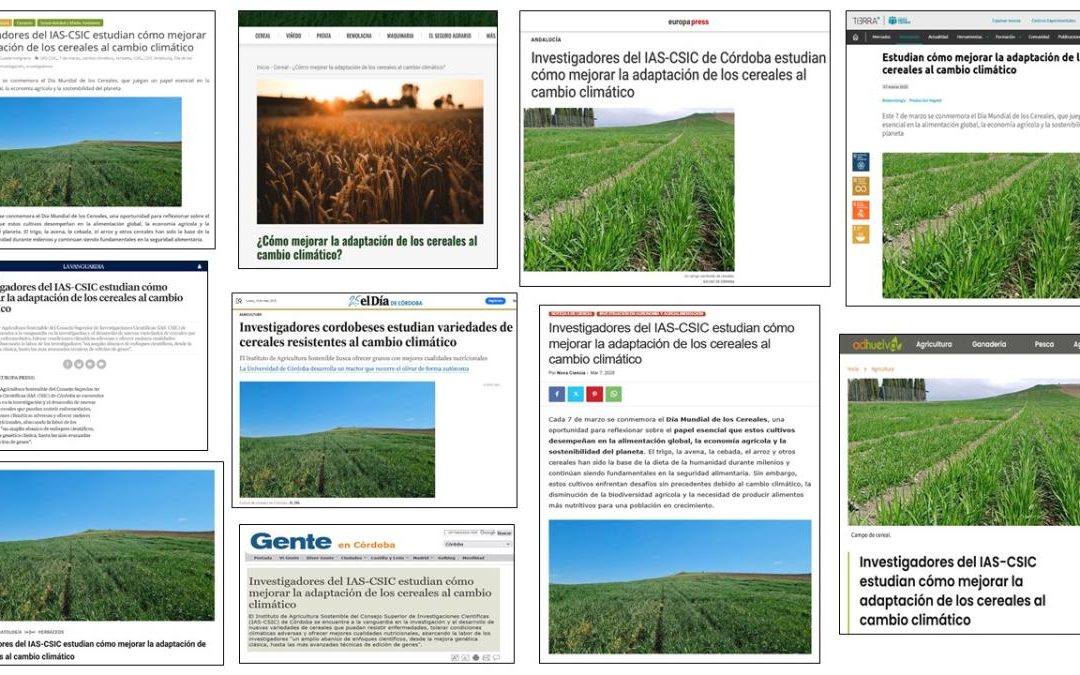 Seguimiento Noticia: Investigadores del IAS-CSIC estudian cómo mejorar la adaptación de los cereales al cambio climático