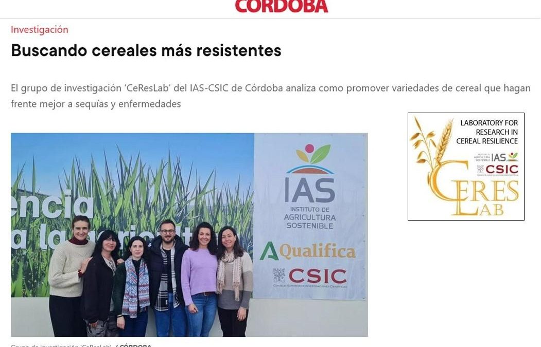 Buscando cereales más resistentes – CeResLab, Elena Prats