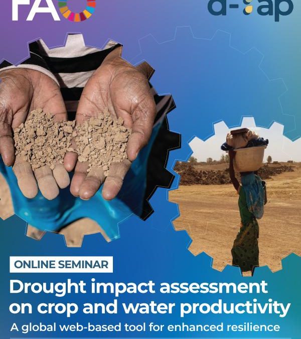 Drought impact assessment on crop and water productivity