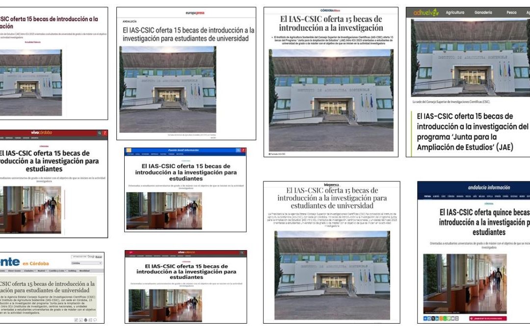 Seguimiento Noticia: El IAS-CSIC oferta 15 becas de introducción a la investigación