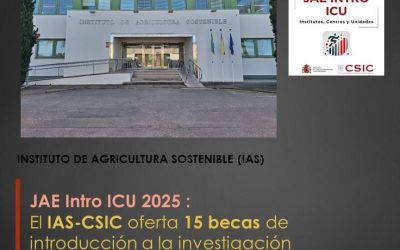 El IAS-CSIC oferta 15 becas de introducción a la investigación