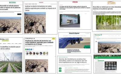 Seguimiento Noticia: Analizan la relación de bacterias con residuos plásticos agrícolas para combatir su impacto en el campo