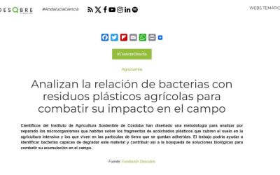 Analizan la relación de bacterias con residuos plásticos agrícolas para combatir su impacto en el campo