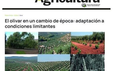 El olivar en un cambio de época: adaptación a condiciones limitantes