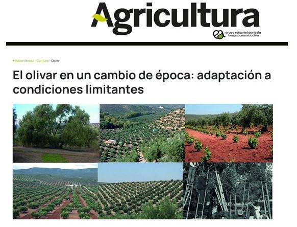 El olivar en un cambio de época: adaptación a condiciones limitantes