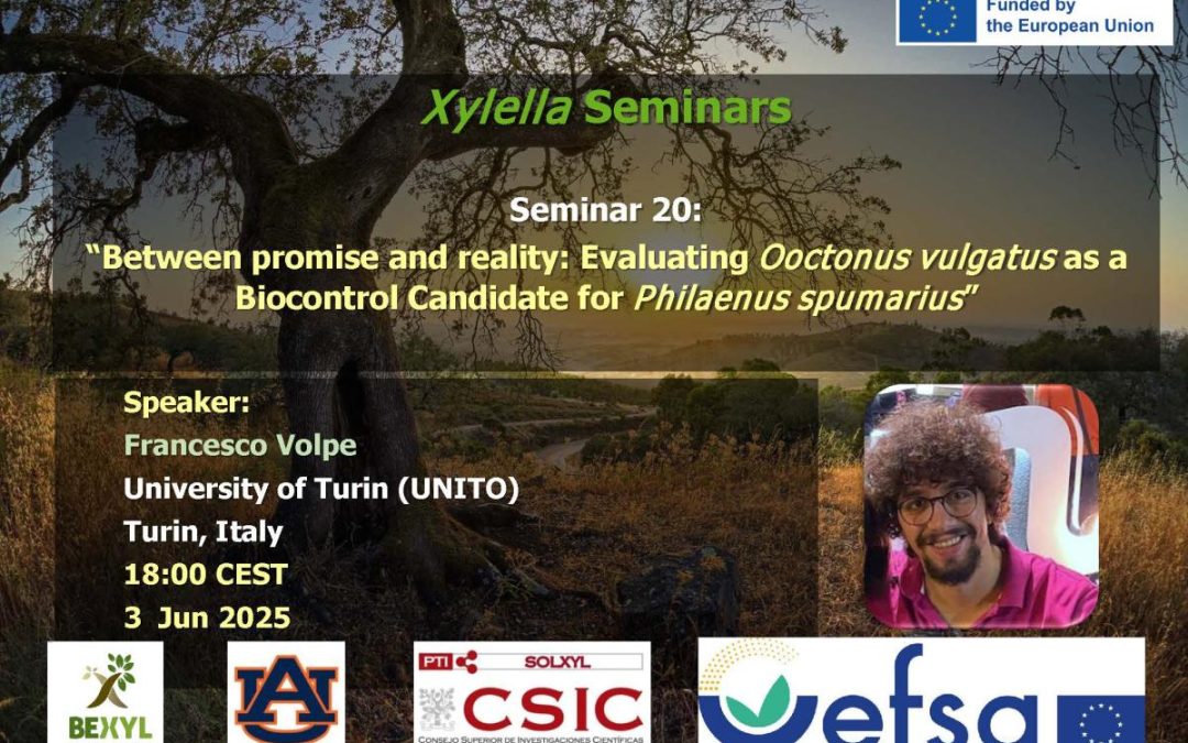 20th Xylella Seminar – Between promise and reality: Evaluating Ooctonus vulgatus as a Biocontrol Candidate for Philaenus spumarius