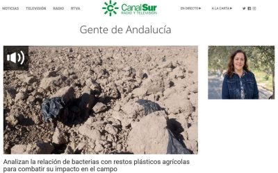 Analizan la relación de bacterias con restos plásticos agrícolas para combatir su impacto en el campo, entrevista a Blanda B Landa