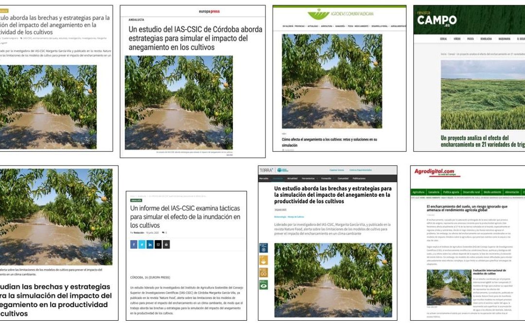 Seguimiento Noticia: Un artículo aborda las brechas y estrategias para la simulación del impacto del anegamiento en la productividad de los cultivos