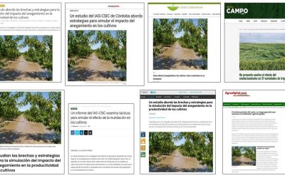 Seguimiento Noticia: Un artículo aborda las brechas y estrategias para la simulación del impacto del anegamiento en la productividad de los cultivos