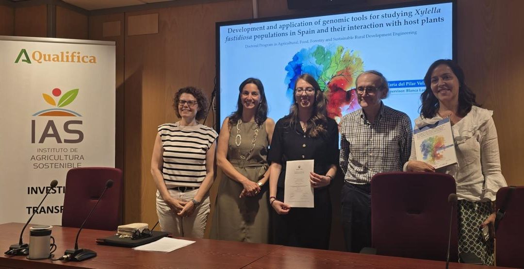 Tesis Doctoral – María del Pilar Velasco Amo