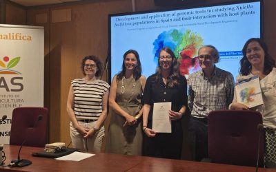 Tesis Doctoral – María del Pilar Velasco Amo