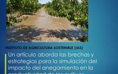 Un artículo aborda las brechas y estrategias para la simulación del impacto del anegamiento en la productividad de los cultivos