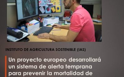 Un proyecto europeo desarrollará un sistema de alerta temprana para prevenir la mortalidad de pinares y encinares
