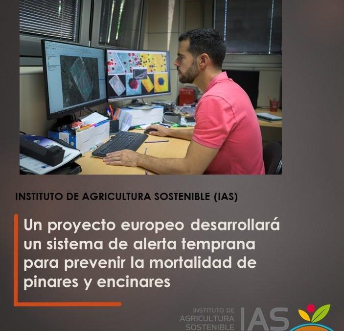 Un proyecto europeo desarrollará un sistema de alerta temprana para prevenir la mortalidad de pinares y encinares