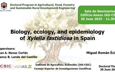 Defensa Tesis Doctoral – Miguel Román Écija
