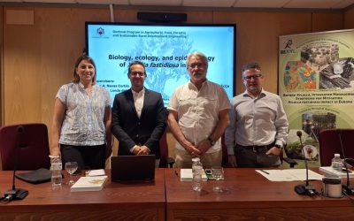 Tesis Doctoral – Miguel Román Écija