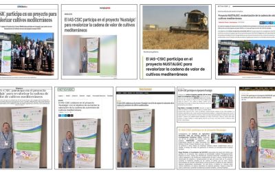 Seguimiento Noticia: El IAS-CSIC participa en el proyecto NUSTALGIC para revalorizar la cadena de valor de cultivos mediterráneos