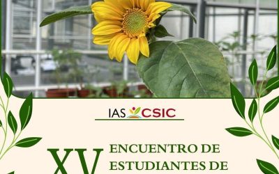 Videos presentación XIV Encuentro de Estudiantes de Doctorado IAS