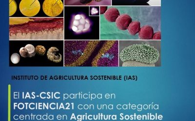 El IAS-CSIC participa en FOTCIENCIA21 con una categoría centrada en Agricultura Sostenible