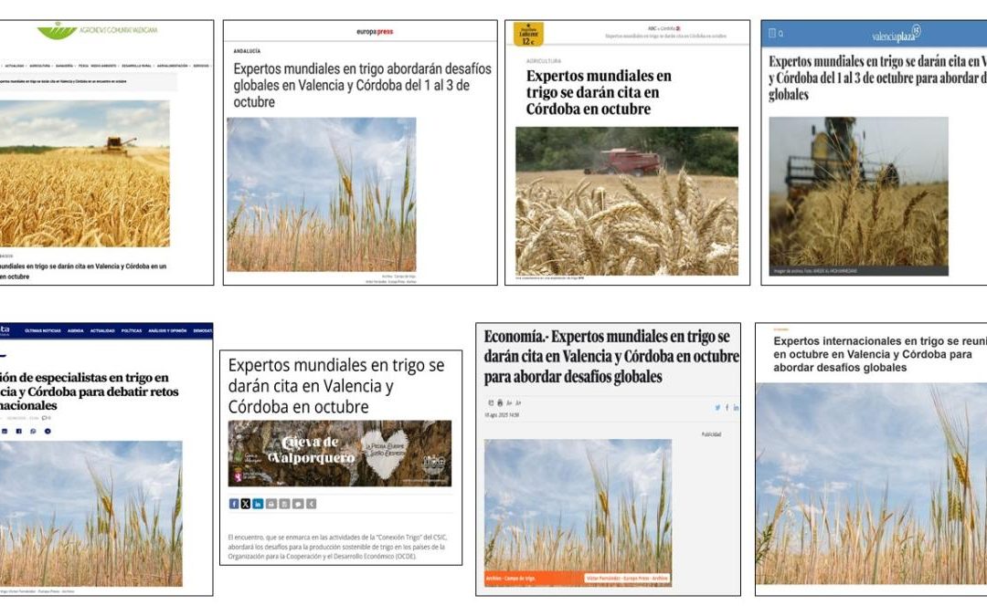 Seguimiento Noticia: Expertos mundiales en trigo se darán cita en Valencia y Córdoba en octubre