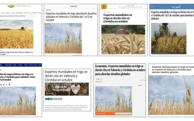 Seguimiento Noticia: Expertos mundiales en trigo se darán cita en Valencia y Córdoba en octubre
